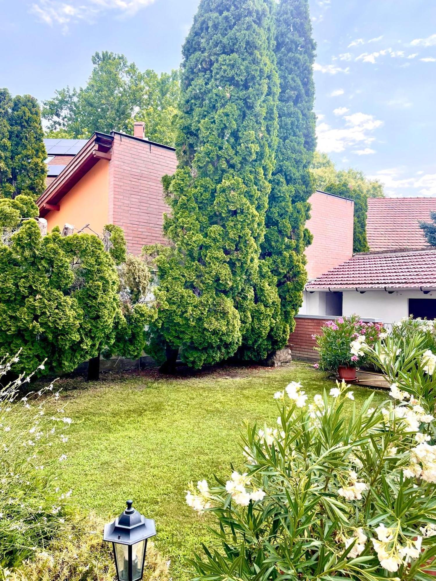 Apartament Barat Vendeghaz - Cosy - Teljes Haz Privat Udvarral - 4 Szoba, 2 Fuerdo Seghedin